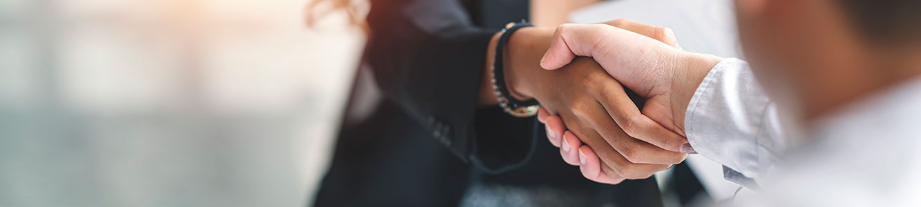 Two business professionals shaking hands