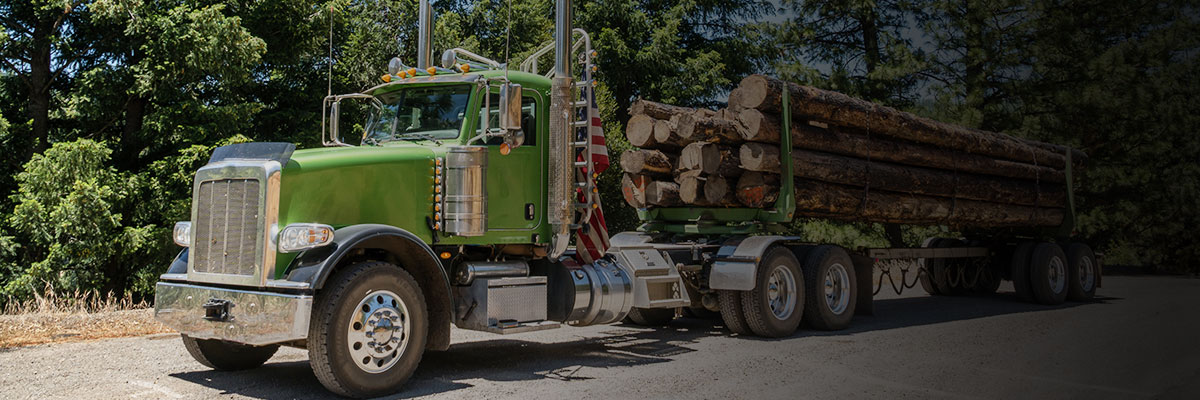 Commercial Equipment Financing SSB