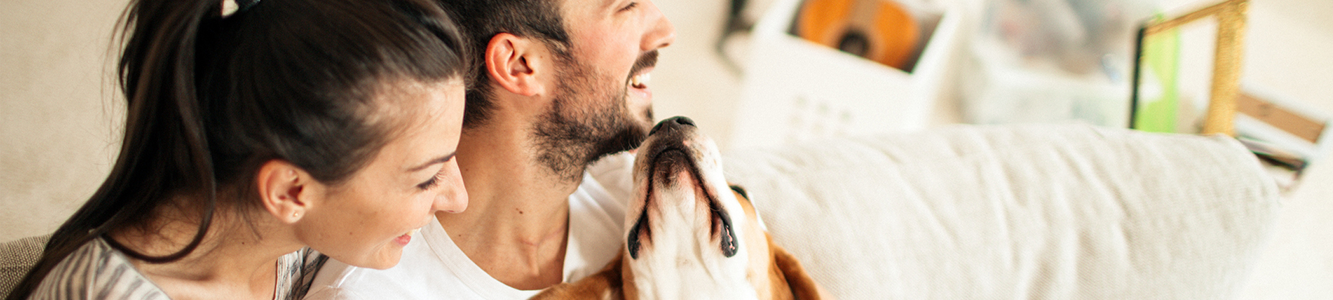 Young couple playing with their dog